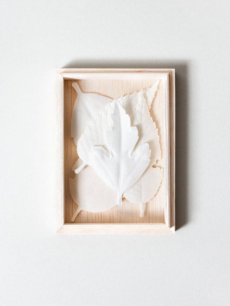 Closeup of HA KO Paper Incense inside it's wooden box without lid and on white table.